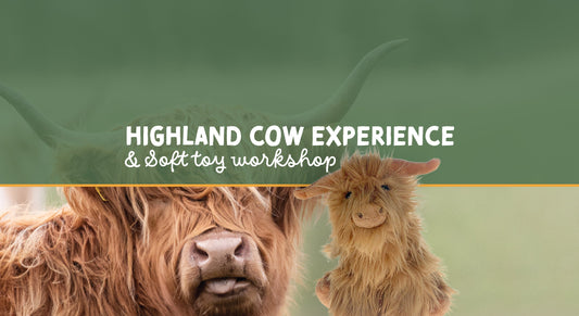 HIGHLAND Cow Experience & Soft toy workshop